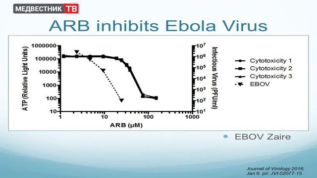 Combating emerging and re-emerging global viral infections смотреть онлайн