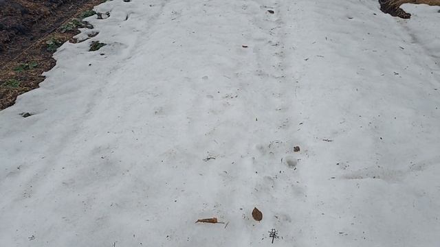 СОСЕДНИЕ ОГОРОДЫ СМЫЛО С ГРЯДКАМИ, А МЫ СМОТРИМ// ГРЯДКИ КОРОБА НАШЕ ВСЕ!!! смотреть онлайн