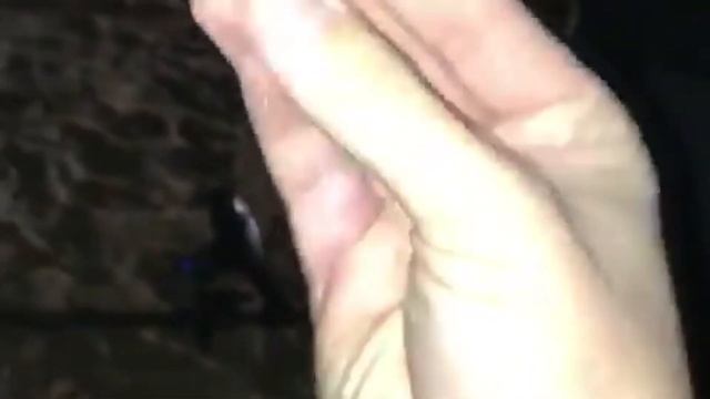 Цветовые Путешествия