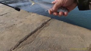 Рокфишинг. Рыбалка на пилькеры.