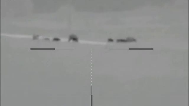 Кабаны с поросятами на переходе через дорогу. смотреть онлайн