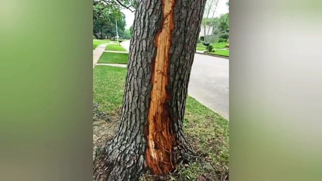 कसरी पर्छ चट्याङ ? चट्याङ पर्दा हलोको फाली जस्तो बस्तु खस्छ, के यो सत्य हो ? Lightning Facts & Info смотреть онлайн