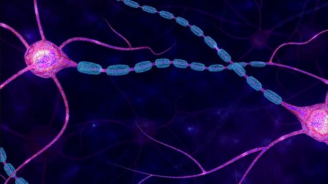 Старение и сон имеют гораздо больше общего, чем считалось ранее смотреть онлайн