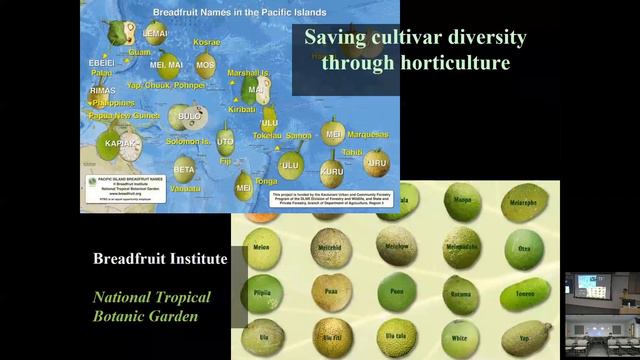 Chad Husby: Tropical Plant Exploration, Introduction and Evaluation for the 21st Century смотреть онлайн