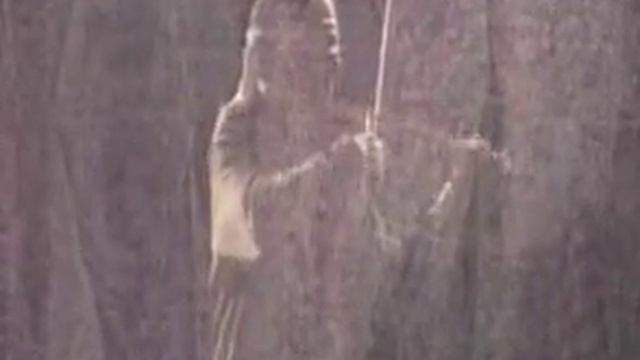 Stradivarius.avi