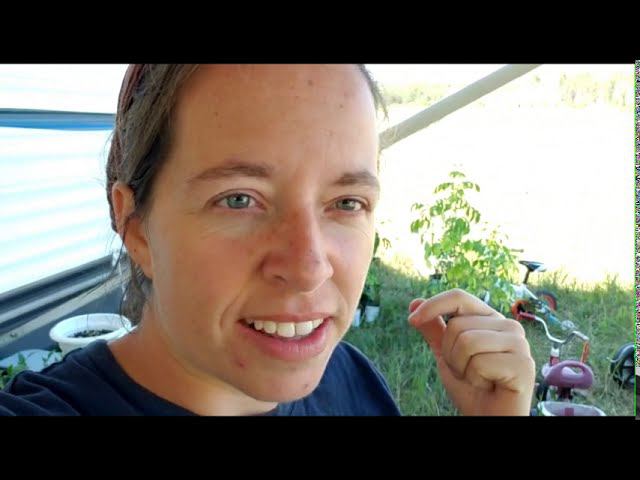 Getting Spot for house cleared! Laundry in style смотреть онлайн