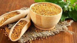 УДИВИТЕЛЬНАЯ ПОЛЬЗА Горчицы для Здоровья