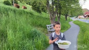Улитки в домашних условиях. Готовим домик для улиток.