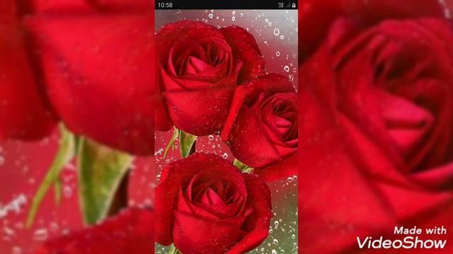 Git upload ka.a kuna da.o смотреть онлайн