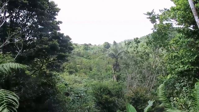 A Tourist's Guide to St. George's, Grenada смотреть онлайн