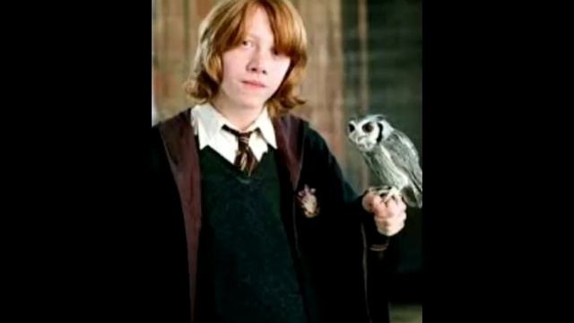 Рон Уизли/Эдит/Ron ❤️🍗