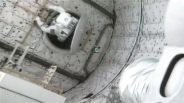 What Happens if an Astronaut Passes Away in Spase | Daily Findings смотреть онлайн