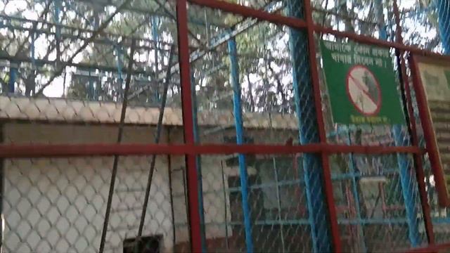 Bangladesh National Zoo at Mirpur Chiriakhana || All Things Here || Chiriyakhna Mirpur смотреть онлайн