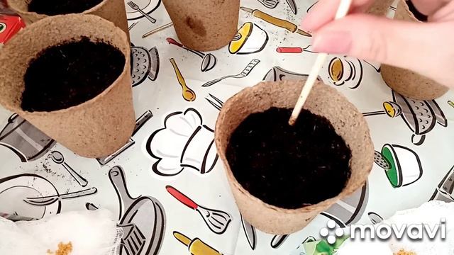 Посеяла баклажаны на рассаду! смотреть онлайн