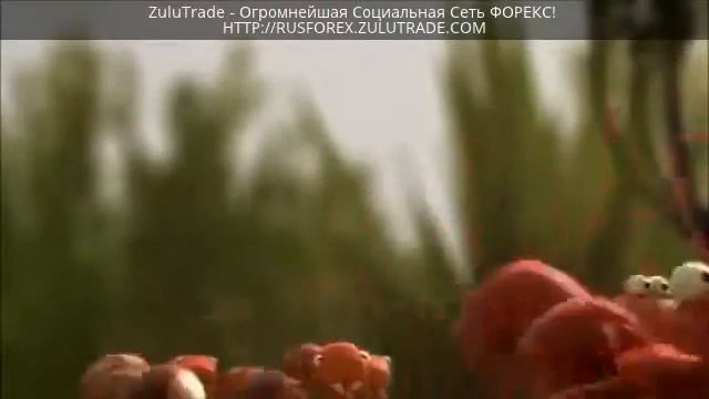К ЦЕЛИ С КОМАНДОЙ - или что значит СИЛА ЕДИНСТВА смотреть онлайн