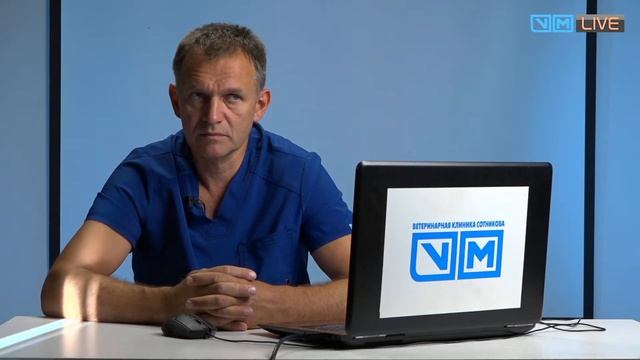 Энергетическое погружение