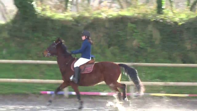 Héloïse & SOLANJAG DE VIETTE - Club 2 - CSO Brest - 10.01.16 смотреть онлайн