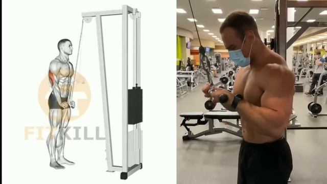 9 Best Triceps Workout for Every Head (Hit all 3 heads) | Fitkill смотреть онлайн