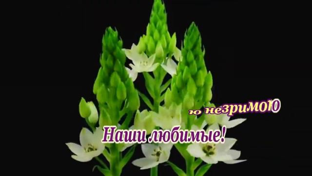 Песняры -Наши любимые- караоке. смотреть онлайн