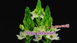 Песняры -Наши любимые- караоке.