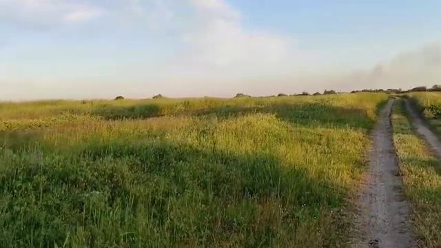 ПОПОЛНЕНИЕ В ХОЗЯЙСТВЕ! ЧТО НА ЭТОТ РАЗ? БОЛЬНОЙ НА ГОЛОВУ!! РАЗГОВОР ПО ДУШАМ. Я ГОВОРЮ КАК ДУМАЮ!