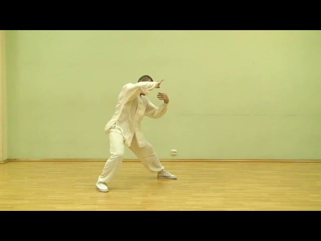 Taiji Chen Romanov R ч 4- Комментарии к движениям первого комплекса смотреть онлайн