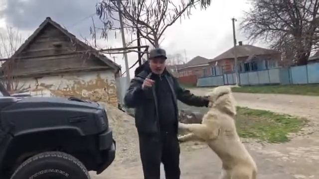 Рома Жиган обращение к гуфу!!! смотреть онлайн