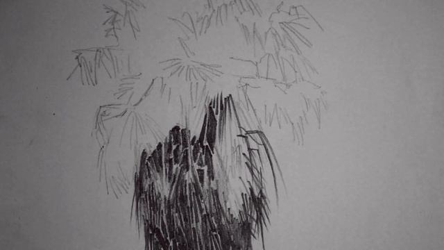 How to draw a palm tree in pencil смотреть онлайн