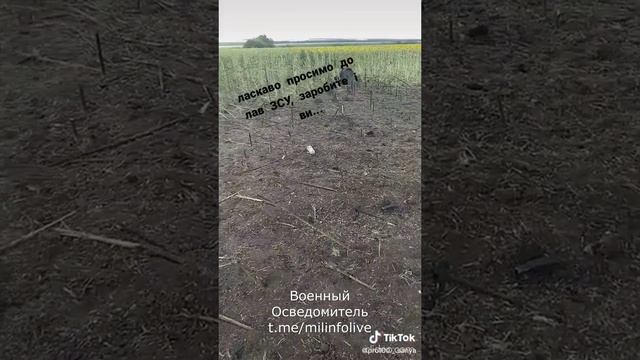 ВС РФ уничтожили поставленную Польшей 155-мм САУ AHS Krab. смотреть онлайн