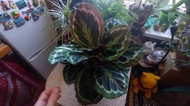 влог - первый день весны смотреть онлайн