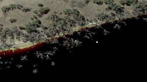 Как уничтожают нашу Землю