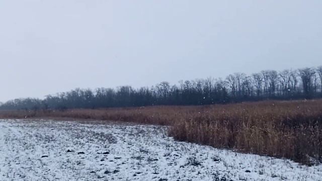 #красивые#пейзажи#Новосёловка смотреть онлайн