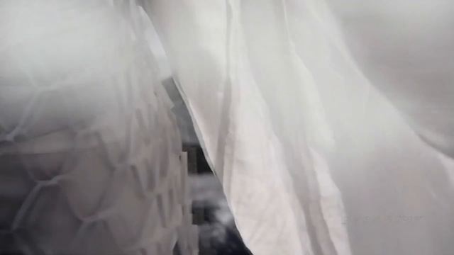 Ilya ?  Bellissimo
