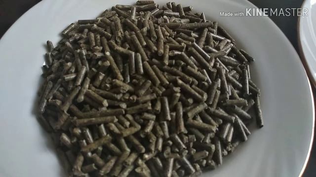 Фермерский гранулят для шиншилл - мое мнение! Основной корм. смотреть онлайн