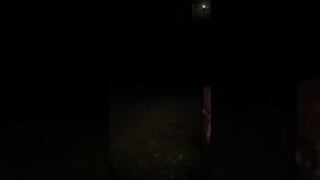 когда ты поняла, что выбрала не тот язык... #devour #lingvist #translator #переводчик #лингвистика смотреть онлайн