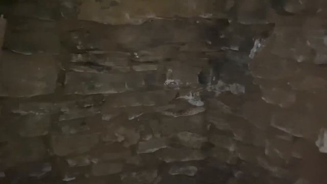 Экспедиция в заброшенную деревню #металлокоп#поискмонет#коп2022#мистика#металлоискатель#экспедиция