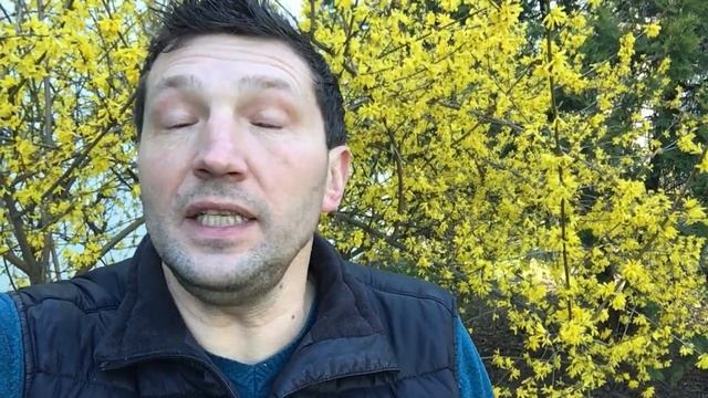 Хотите так жить – будьте готовы #МысльНаПодумать смотреть онлайн