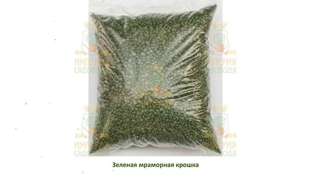 Мраморная крошка, крашенная, зеленая, фракция 5-10мм, 2кг обзор 2210 смотреть онлайн