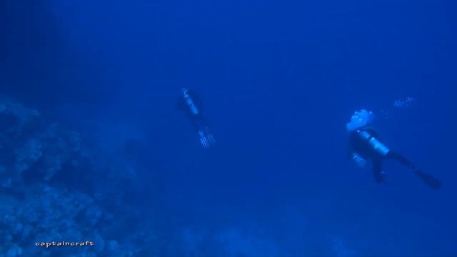 красное море глубина дайв.mp4 смотреть онлайн