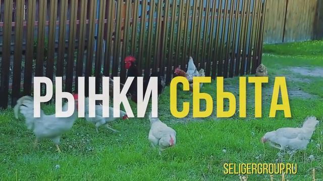 Продам СХ землю на Селигере в Тверской области
