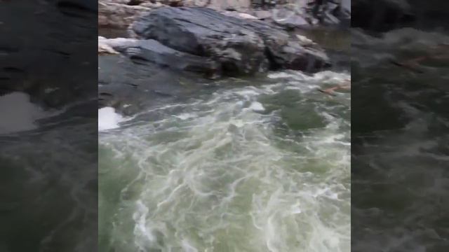 Амурские туристы смотреть онлайн