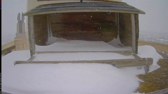 Camera 5 - 01/17/22 смотреть онлайн