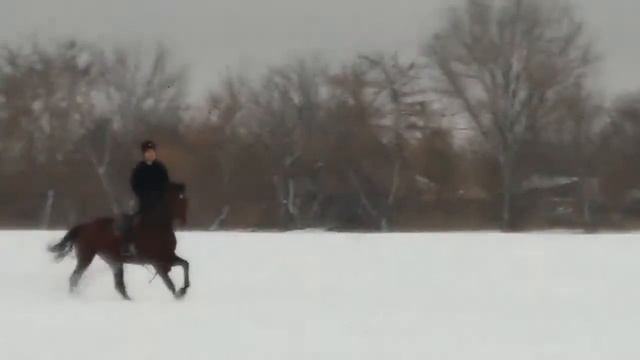 Джигитовка, клуб казачья застава смотреть онлайн