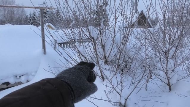 20-28 12 2021г дача пихта дача под Архангельском смотреть онлайн
