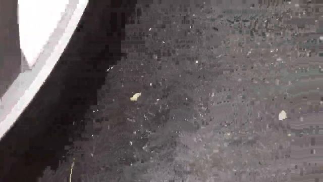 GSPSCN Portable 12V Air Compressor Pump Digital Display Tire Inflator Review, Heavy Duty & Works Fl смотреть онлайн