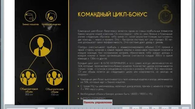 Conligus. Вебинар школа " Подробное изучение маркетинг плана" от Игоря.К ( 24.12) смотреть онлайн