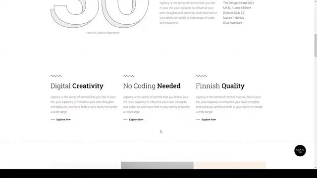 Lixer Creative Portfolio WordPress Theme clean 14 смотреть онлайн