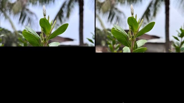 Realme 11 Pro Plus vs Redmi Note 12 Pro Plus Camera Comparison смотреть онлайн