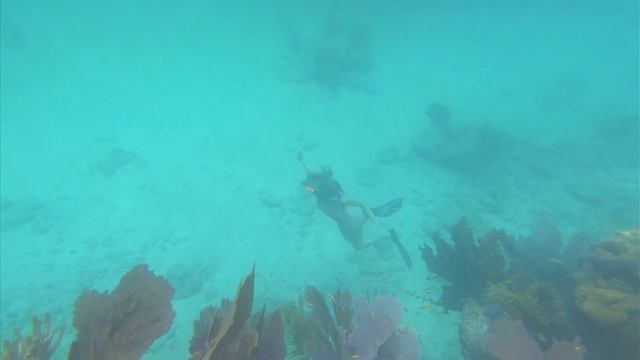 It's 122 degrees at the Reef! Sailing Adventures with Sailing and Fun смотреть онлайн