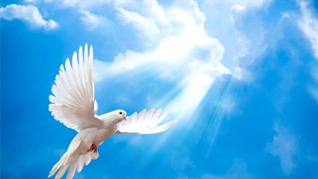 Непрощение в народе Моем Украина Волынь ноябрь 2022 смотреть онлайн